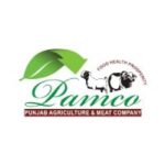 PEMCO-qg4at5ahqv9h3to86ln8clwi16rdzxkxz43vvyi28g
